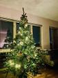 クリスマスツリー（フェイク）＋LEDライト　直接引き取りのみに関する画像です。