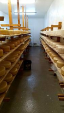 チーズ工房・インターンシップに関する画像です。