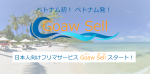 ハノイの日本人運営フリマサービス | GoawSell(ゴーセール) | 中古品の買取も実施中