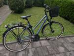 新品GIANT Argento男性用自転車を売りますに関する画像です。
