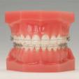 一般歯科、矯正歯科, 審美歯科、インビザライン、インプラントに関する画像です。