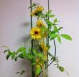 お花のアレンジメント教室　「癒し」〜日々の生活にお花を〜に関する画像です。