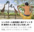 3月10日 シンガポール動物園入場チケット（トラム乗車券付き）に関する画像です。